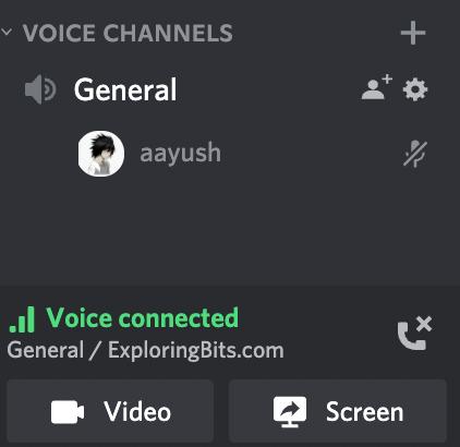 Connected to a Voice Channel