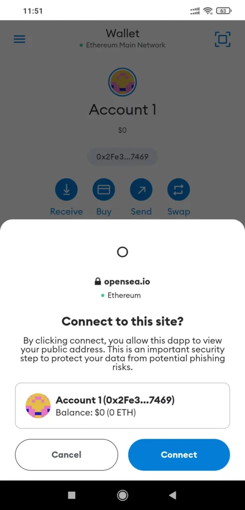 Authorise Opensea on MetaMask