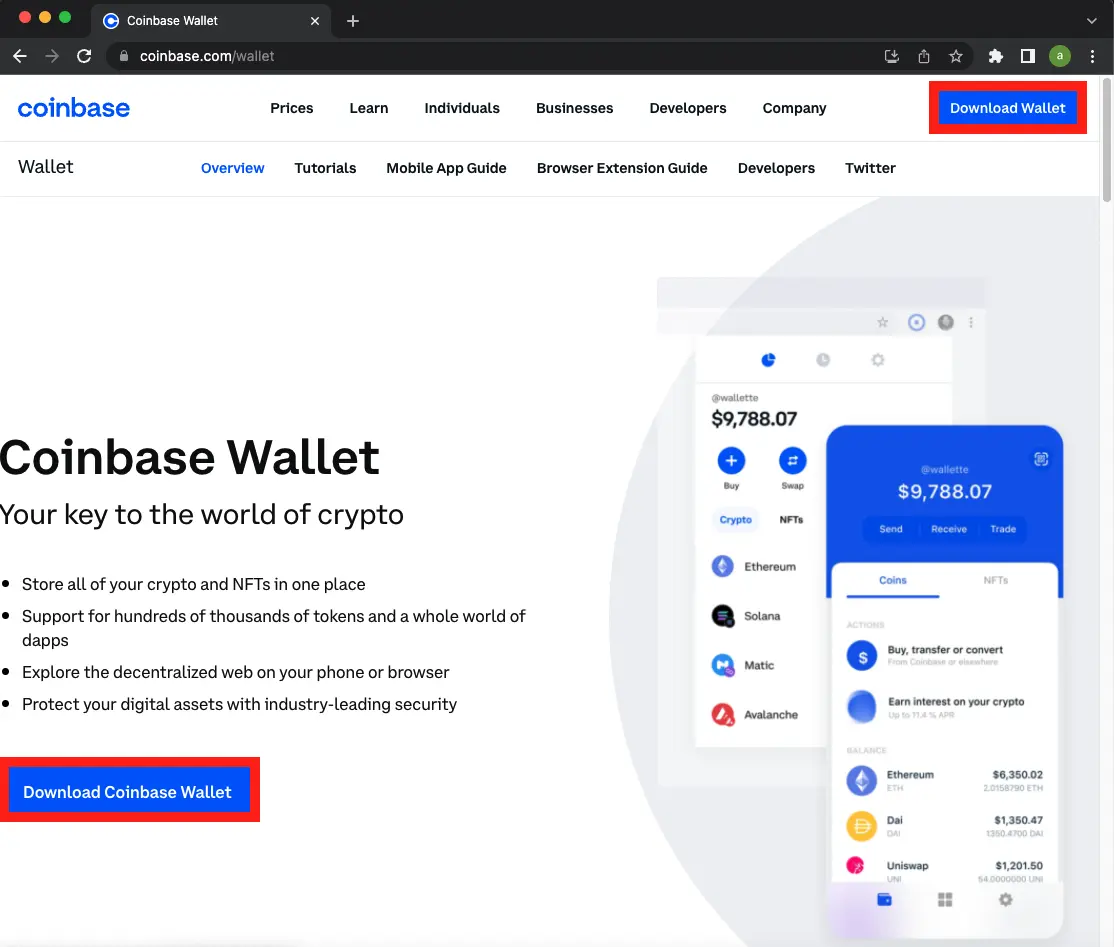 Download coinbase wallet